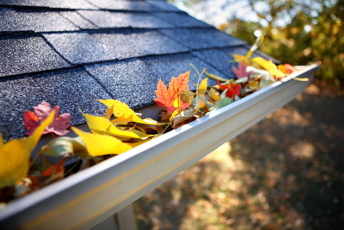 Leading Thurston County gutter installation company in WA near 98530